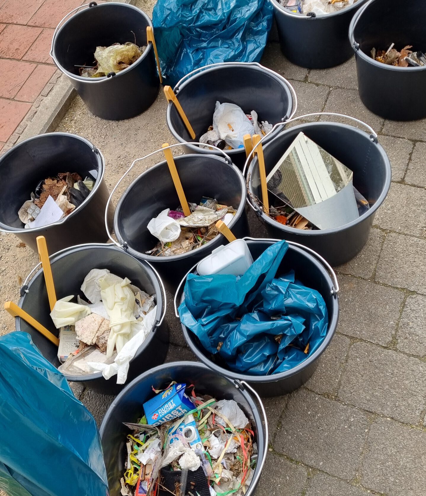 Müllsammelaktion der Klasse WVF11a